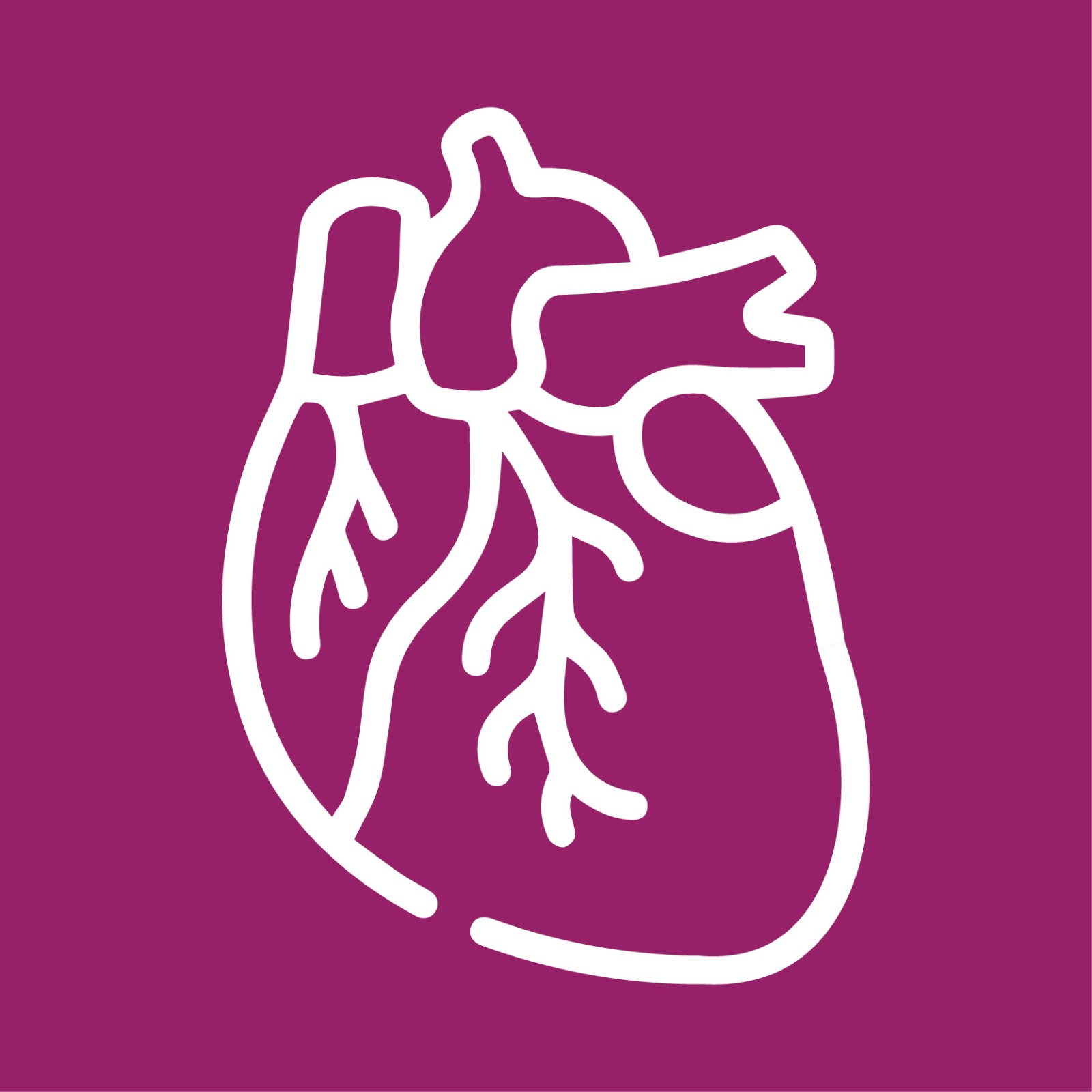 Hypertrophic Cardiomyopathy